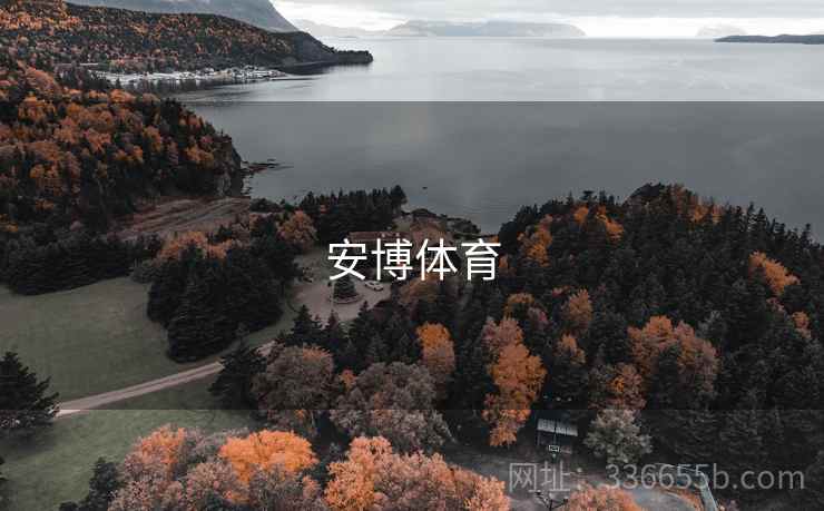 安博体育 第1张