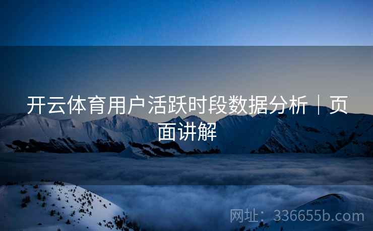 开云体育用户活跃时段数据分析｜页面讲解