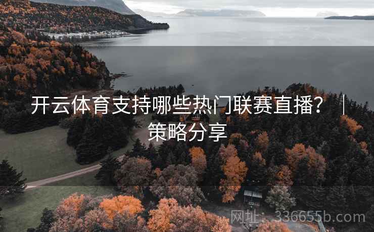 开云体育支持哪些热门联赛直播？｜策略分享