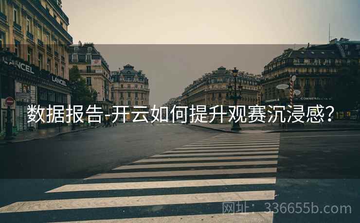 数据报告-开云如何提升观赛沉浸感？