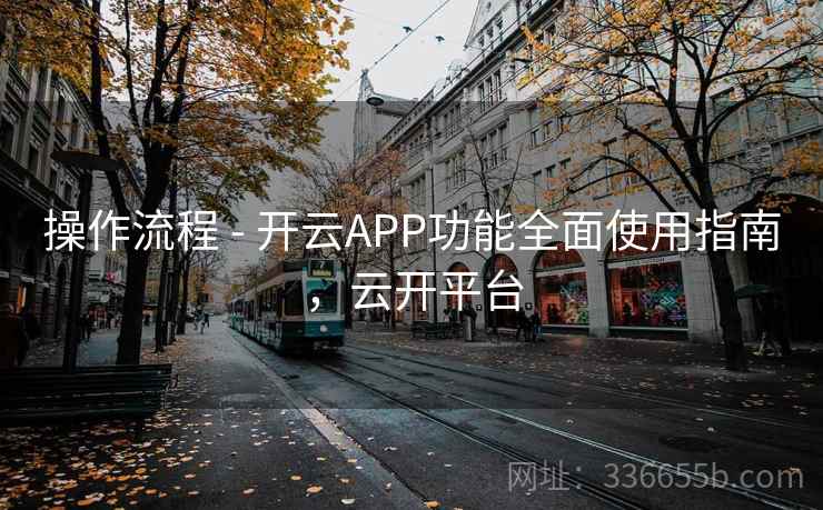 操作流程 - 开云APP功能全面使用指南，云开平台