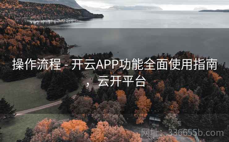 操作流程 - 开云APP功能全面使用指南，云开平台